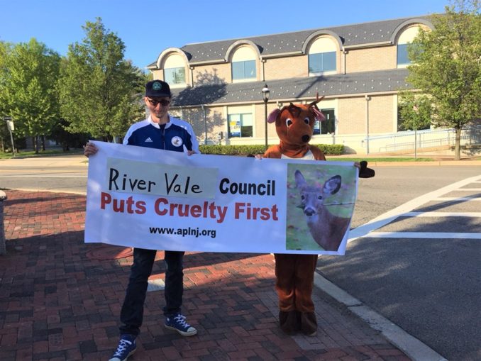 BACK IN TIME A Changing Corner of Harrington Park — Pascack Press