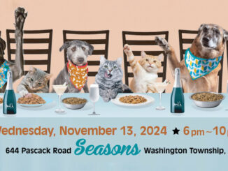 Join C.A.T.S. for a fun evening of dinner and fundraising to support homeless animals.