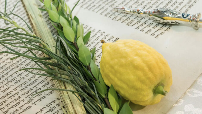 Sukkot is a week-long Jewish holiday that commemorates the Israelites' journey through the wilderness after their exodus from Egypt. It is celebrated by building and dwelling in temporary shelters, called sukkahs, to symbolize the fragile huts they lived in during their travels.