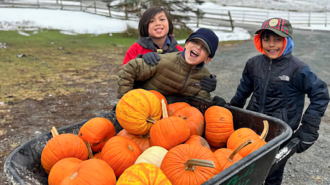 Webelos Daylan Hefa, Leilani Hefa, Grayson Brown, Kai Dominguez, and Ryan Conway gleefully feed the animals. For the scouts, it was more than just a service project. Webelos photos via Vanessa Hefa.