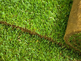 The debate over natural sod versus artificial turf continues as Hillsdale officials weigh costs, environmental impact, and long-term maintenance for Memorial Field.