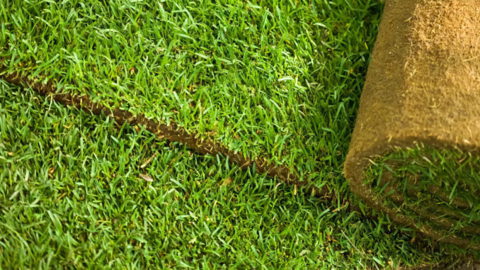 Sod vs turf The debate over natural sod versus artificial turf continues as Hillsdale officials weigh costs, environmental impact, and long-term maintenance for Memorial Field.