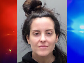 Park Ridge police say Jennifer Watkins, 42, of Pearl River, N.Y., keyed two vehicles in the Ridge Diner parking lot Jan. 31 — and they're asking for help identifying one of the owners.