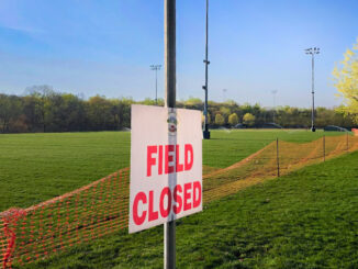 Hillsdale's Centennial Field is closed for costly renovations, including new sodding.