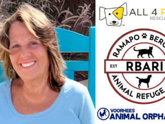 Cynthia “Cindy” Trause, an ardent animal lover and devoted daughter of Vito Trause. Her life was marked by quiet generosity, deep compassion, and unwavering loyalty—to her family, her community, and every animal lucky enough to find her. Pascack Press composite.