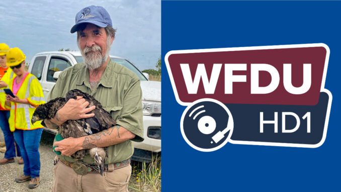 Don Torino WFDU Don Torino, longtime president of the Bergen County Audubon Society, will debut his first monthly radio show, "The Nature Connection," on WFDU-FM RetroRadio.
