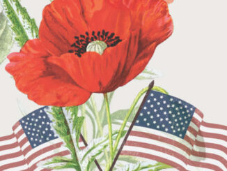 RV Memorial Day