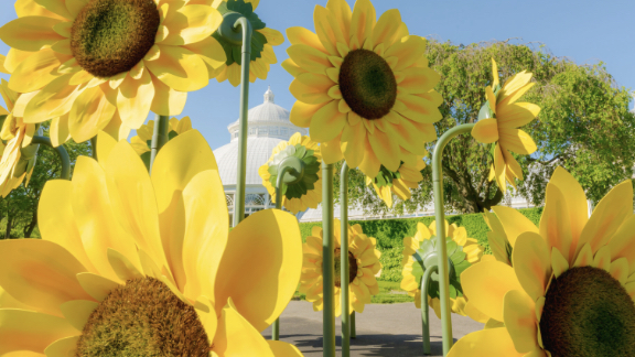 Sunflowerd "Van Gogh's Flowers" via www.nybg.org