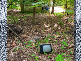 Elevated levels of lead in the ground at 450 Pascack Road — along with other items needing attention — are the town’s next order of business at its new property, adjacent to Memorial Field. Michael Olohan photo/Pascack Press composite.