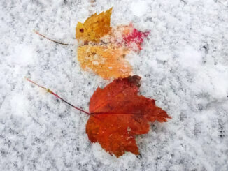 Montvale’s DPW contribution will rise by $300,000 in 2025 under a newly amended agreement with River Vale, reflecting higher municipal service costs. Snow removal remains separately funded through the towns’ joint Snowstorm Trust Fund.