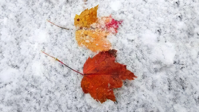 Montvale’s DPW contribution will rise by $300,000 in 2025 under a newly amended agreement with River Vale, reflecting higher municipal service costs. Snow removal remains separately funded through the towns’ joint Snowstorm Trust Fund.
