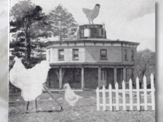 Look for the rooster on top of the tower. As though anybody could miss it! This was the view outside Ye Old Octagon House on West Grand Avenue in Montvale in the late 1930s. At the time, it was a fried chicken restaurant.