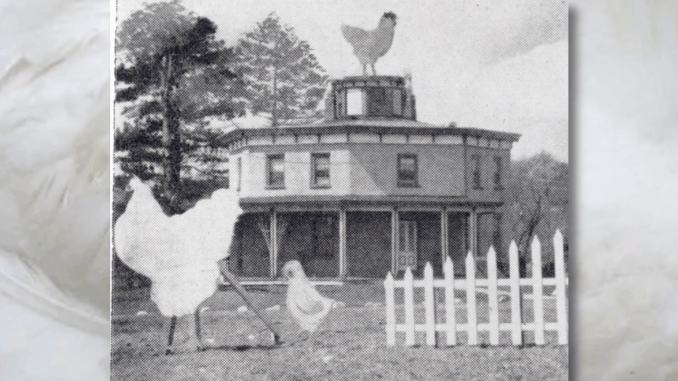 Octagon House with Chicken Look for the rooster on top of the tower. As though anybody could miss it! This was the view outside Ye Old Octagon House on West Grand Avenue in Montvale in the late 1930s. At the time, it was a fried chicken restaurant.