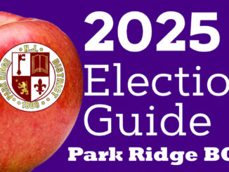 Park Ridge school board race 2025