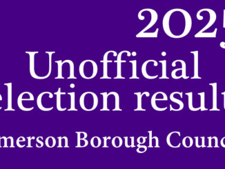 ELEX EMERSON 2025 unofficial