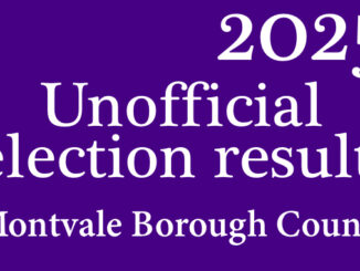 ELEX. Monvale 2025 unofficial