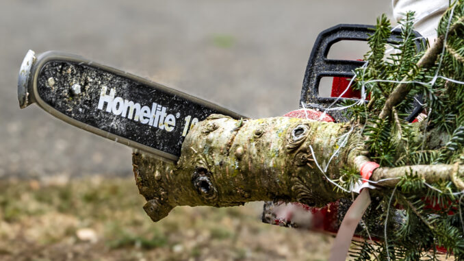 The sights, the sounds, and the fir scents that make Christmas tree-shopping with the WTFD second to none. John Snyder photo.