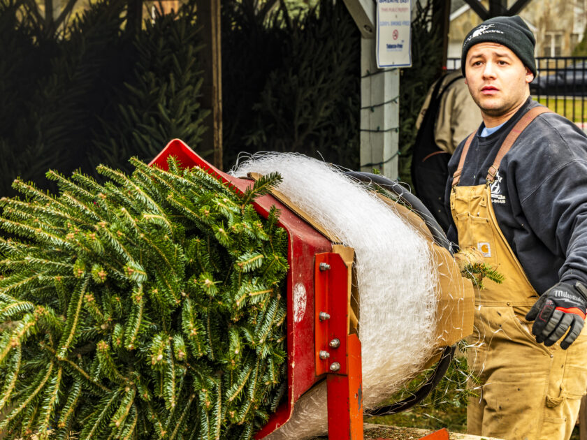 WTFD Christmas tree sale at Memorial Field, Dec. 7, 2025. John Snyder photo.