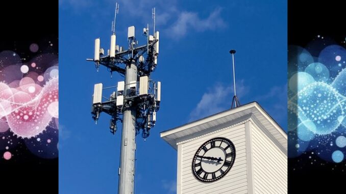 A cellular communications tower at Town Hall in the Township of Washington, one day this month at 3:50 p.m. Hillsdale officials are considering hiring an independent consultant to evaluate local cell-service gaps ahead of a planned meeting with Verizon. John Snyder photo over “Cellular Wave Dance" via StockCake.