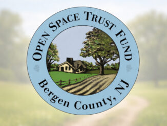 Open Space logo