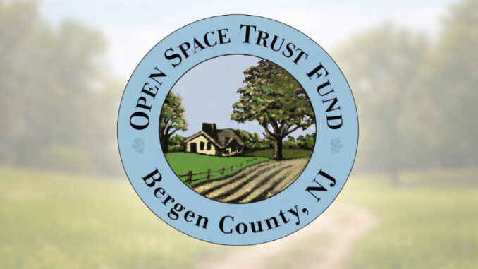 Open Space logo