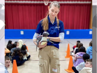 Westwood elementary students meet Ms. Betty, a penguin from Jenkinson’s Aquarium, as part of this year’s Read Across America. They read “Mr. Popper’s Penguins” by Richard and Florence Atwater, with illustrations by Robert Lawson. Courtesy photo.