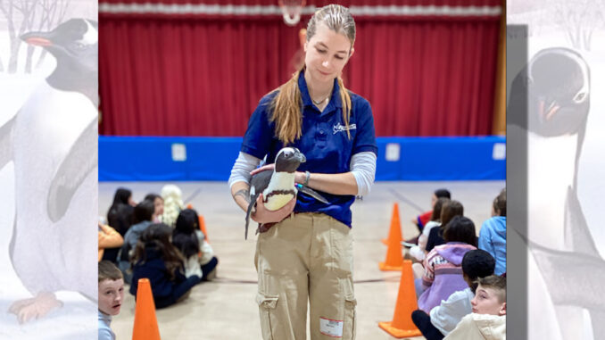 Westwood elementary students meet Ms. Betty, a penguin from Jenkinson’s Aquarium, as part of this year’s Read Across America. They read “Mr. Popper’s Penguins” by Richard and Florence Atwater, with illustrations by Robert Lawson. Courtesy photo.