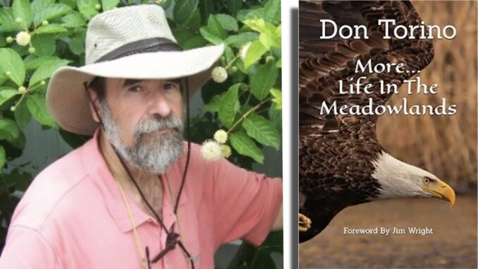 Don Torino, president of the Bergen County Audubon Society, has released a new book, More… Life in the Meadowlands: Exploring Birds, Wildlife, and Wetland Restoration in New Jersey’s Meadowlands. The volume is a follow-up to his 2022 book Life in the Meadowlands and reflects on decades observing wildlife and ecological recovery in the Meadowlands.