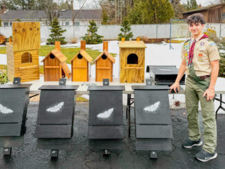 Simon Maver of Troop 350 with the owl houses and bat boxes he built for installation in Westvale Park and Pascack Brook Park as part of his Eagle Scout project. Courtesy photo.