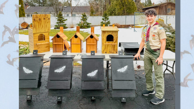 Simon Maver of Troop 350 with the owl houses and bat boxes he built for installation in Westvale Park and Pascack Brook Park as part of his Eagle Scout project. Courtesy photo.