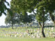 Gethsemane Cemetery