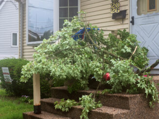 A tree branch rests in front of a Township of Washington home after powerful storms swept through Bergen County on the evening of July 4, bringing strong winds, heavy rain, scattered power outages and downed trees across the Pascack Valley. John Snyder photo.
