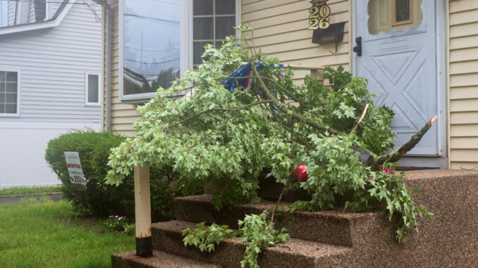 A tree branch rests in front of a Township of Washington home after powerful storms swept through Bergen County on the evening of July 4, bringing strong winds, heavy rain, scattered power outages and downed trees across the Pascack Valley. John Snyder photo.
