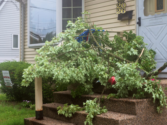 A tree branch rests in front of a Township of Washington home after powerful storms swept through Bergen County on the evening of July 4, bringing strong winds, heavy rain, scattered power outages and downed trees across the Pascack Valley. John Snyder photo.