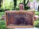 Englewood Environmental Commissioner Erin Thomas displays a honeycomb frame with bees during the city’s sixth annual National Honey Bee Day celebration at the Englewood Public Library on Aug. 16. Hillary Viders photo.