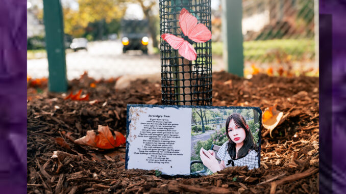 A portrait of Serenity Lynn rests beside the poem “Serenity’s Tree” at the foot of the magnolia planted in her memory at Brookside Park. The tree was dedicated Oct. 17 during Westwood’s first Autumn Arbor Fest. Photo by John Snyder.